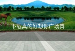下载真的好想你广场舞