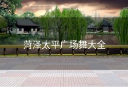 菏泽太平广场舞大全