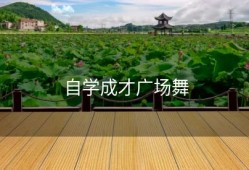 自学成才广场舞