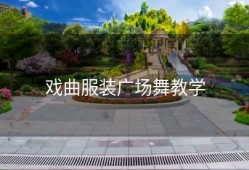 戏曲服装广场舞教学