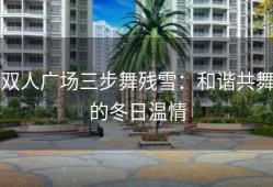 双人广场三步舞残雪：和谐共舞的冬日温情