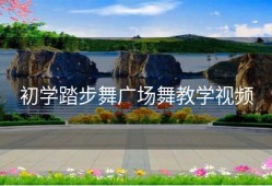 初学踏步舞广场舞教学视频