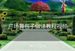 广场舞包子做法教程视频