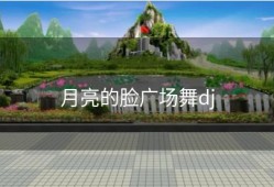 月亮的脸广场舞dj