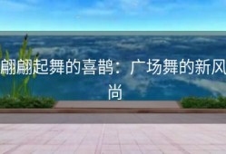 翩翩起舞的喜鹊：广场舞的新风尚
