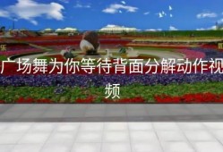 广场舞为你等待背面分解动作视频