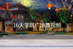 16天学跳广场舞视频