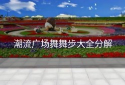 潮流广场舞舞步大全分解