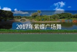 2017年紫蝶广场舞