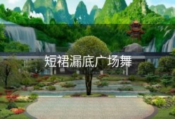 短裙漏底广场舞