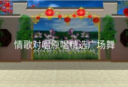 情歌对唱原唱精选广场舞