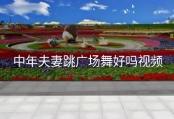 中年夫妻跳广场舞好吗视频