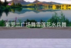 紫罗兰广场舞雪莲花水兵舞