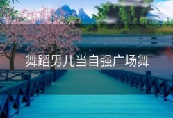 舞蹈男儿当自强广场舞