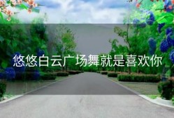 悠悠白云广场舞就是喜欢你