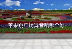 苹果跳广场舞音响哪个好