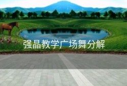 强晶教学广场舞分解