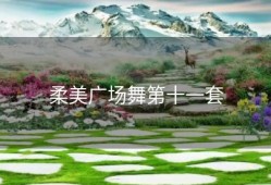 柔美广场舞第十一套