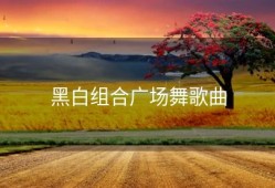 黑白组合广场舞歌曲