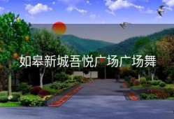 如皋新城吾悦广场广场舞