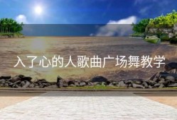 入了心的人歌曲广场舞教学