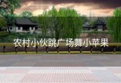 农村小伙跳广场舞小苹果