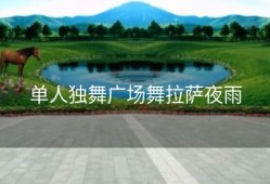 单人独舞广场舞拉萨夜雨