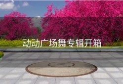 动动广场舞专辑开箱