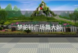 梦驼铃广场舞大妈