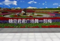 糖豆君君广场舞一剪梅