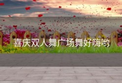 喜庆双人舞广场舞好嗨哟