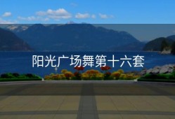 阳光广场舞第十六套