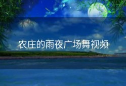 农庄的雨夜广场舞视频
