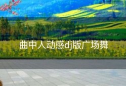 曲中人动感dj版广场舞