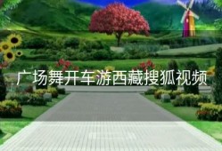 广场舞开车游西藏搜狐视频