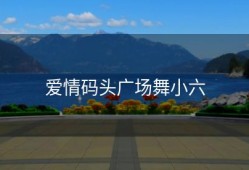 爱情码头广场舞小六