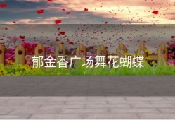 郁金香广场舞花蝴蝶