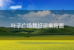叶子广场舞好运来背面
