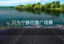 只为宁静而舞广场舞