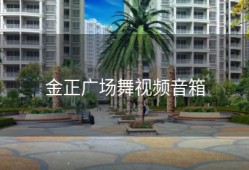 金正广场舞视频音箱