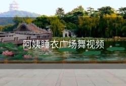 阿姨睡衣广场舞视频