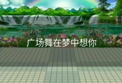 广场舞在梦中想你