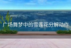 广场舞梦中的雪莲花分解动作