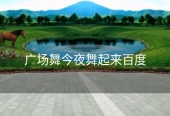 广场舞今夜舞起来百度