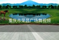 重庆市荣昌广场舞视频