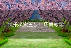 快乐老家五步广场舞教学