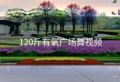 120斤有氧广场舞视频