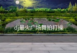 dj最火广场舞拍打操