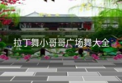 拉丁舞小哥哥广场舞大全