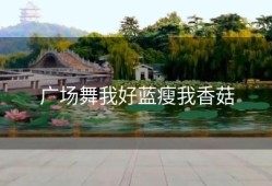 广场舞我好蓝瘦我香菇
